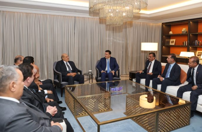 الصفدي ورئيس الشيوخ المصري: الوصاية الهاشمية حافظت على هوية القدس ومواقف الأردن ومصر متطابقة