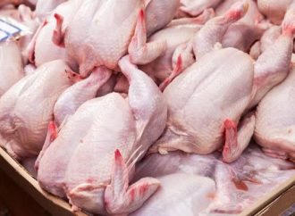 ضبط دجاج غير صالح للاستهلاك البشري في الكرك
