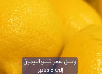 سعر الكيلو وصل إلى 3 دنانير.. مئات الشكاوى حول ارتفاع أسعار الليمون في الأردن..