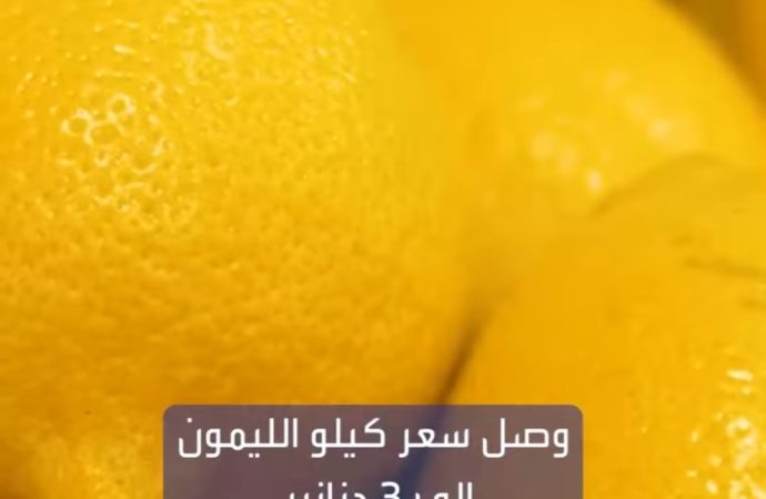 سعر الكيلو وصل إلى 3 دنانير.. مئات الشكاوى حول ارتفاع أسعار الليمون في الأردن..