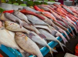 170 ألف دينار دعم حكومي لتجهيز سوق السمك المركزي