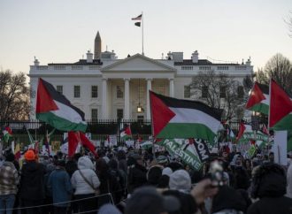 247 يوما للحرب .. الآلاف يتظاهرون أمام البيت الأبيض تنديدا باستمرار العدوان على غزة